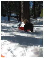 IMG_7369.JPG