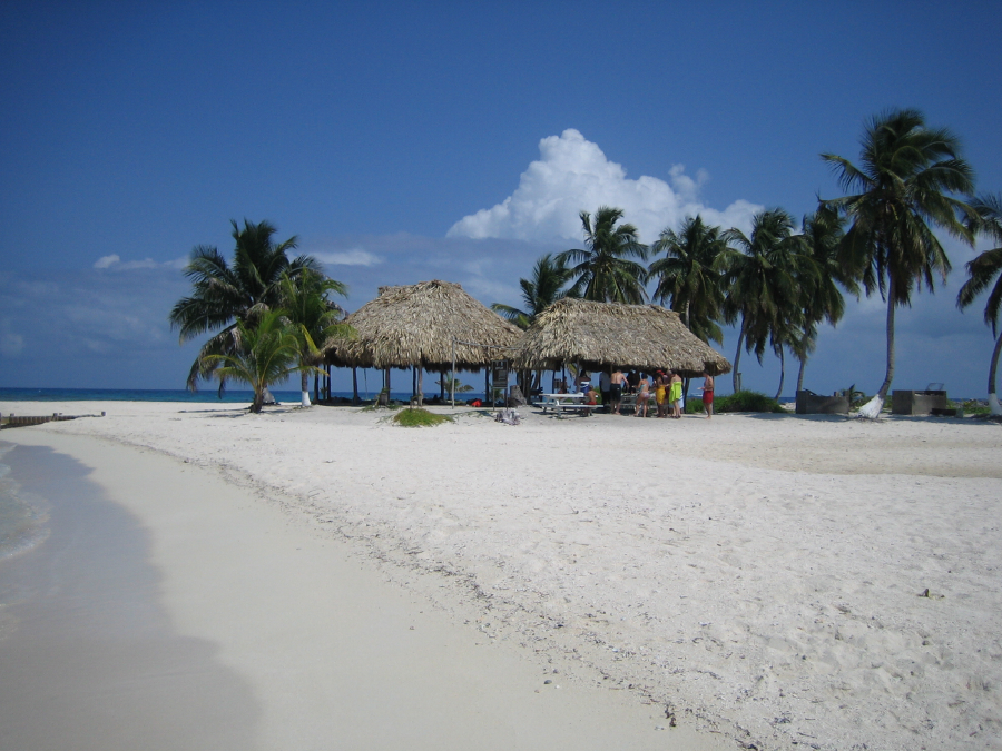 IMG_2071.jpg