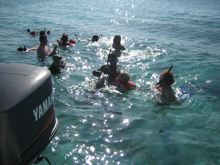 IMG_2163.jpg