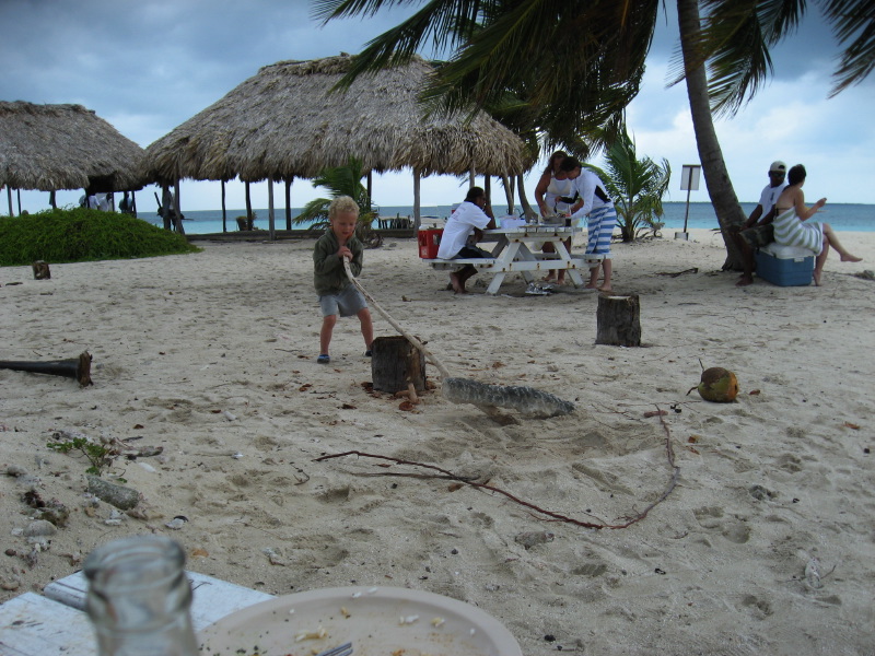IMG_3516.jpg