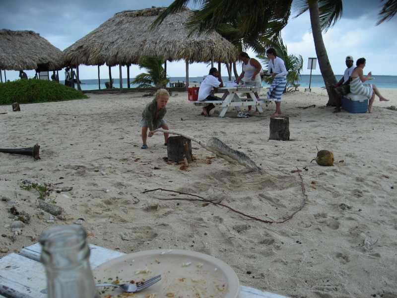 IMG_3517.jpg