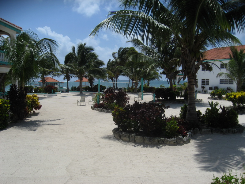 IMG_3742.jpg