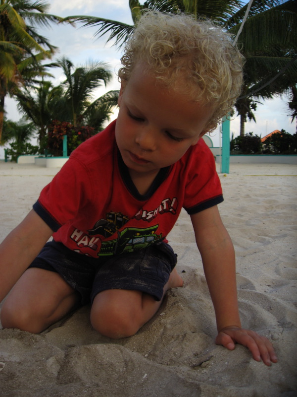 IMG_3778.jpg