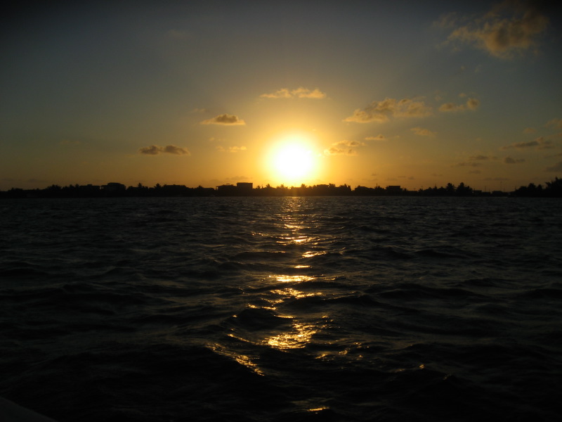 IMG_3907.jpg