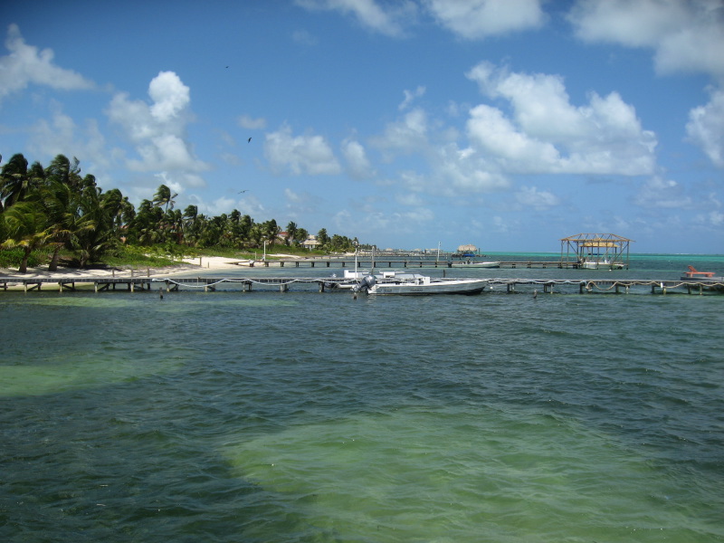 IMG_3954.jpg