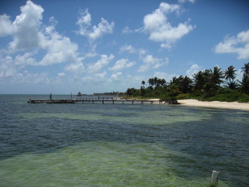 IMG_3955.jpg