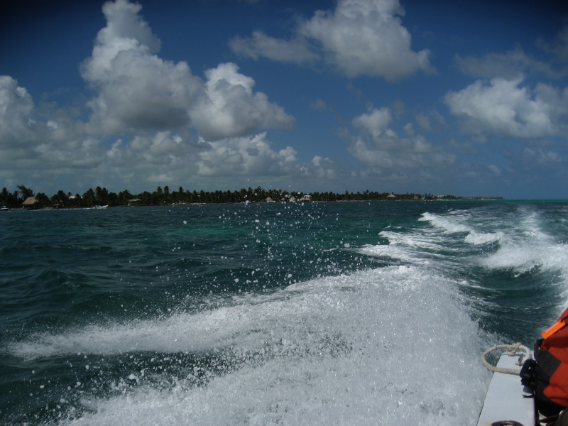 IMG_3985.jpg