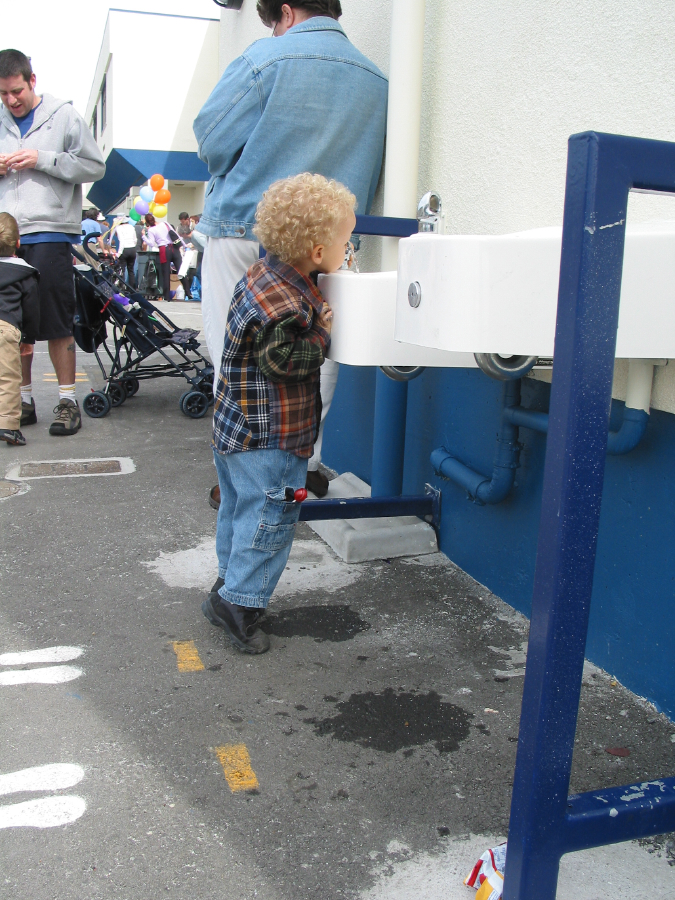 IMG_7904.jpg