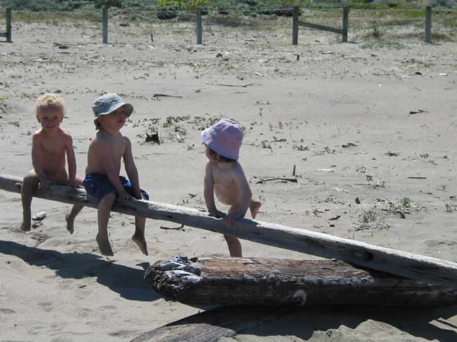 IMG_7978.jpg