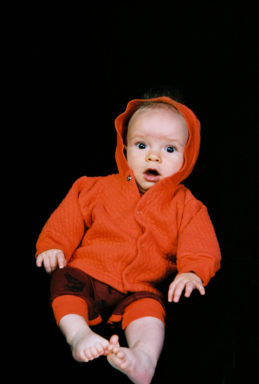 303029-r3-10.jpg
