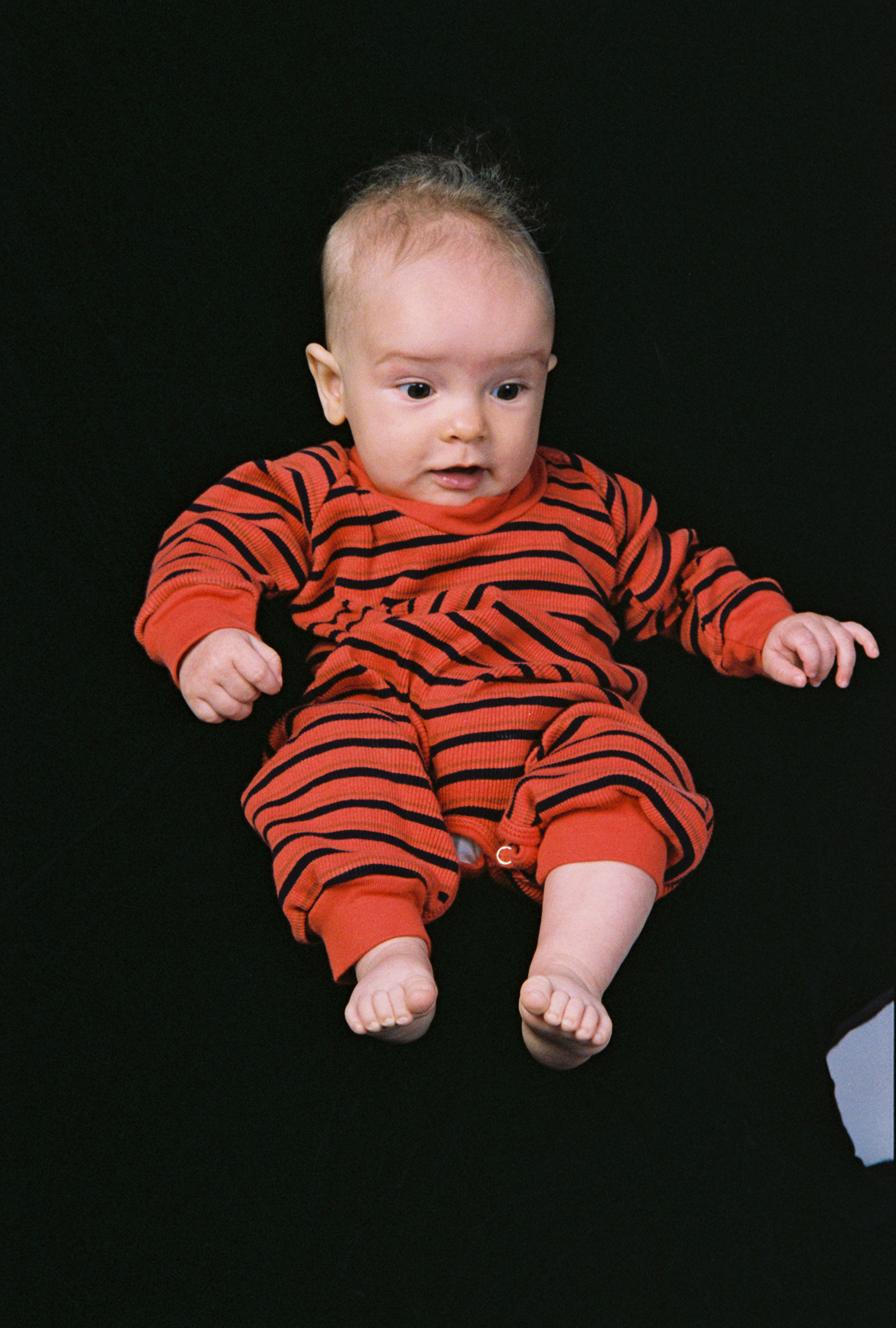 303029-r6-25a.jpg