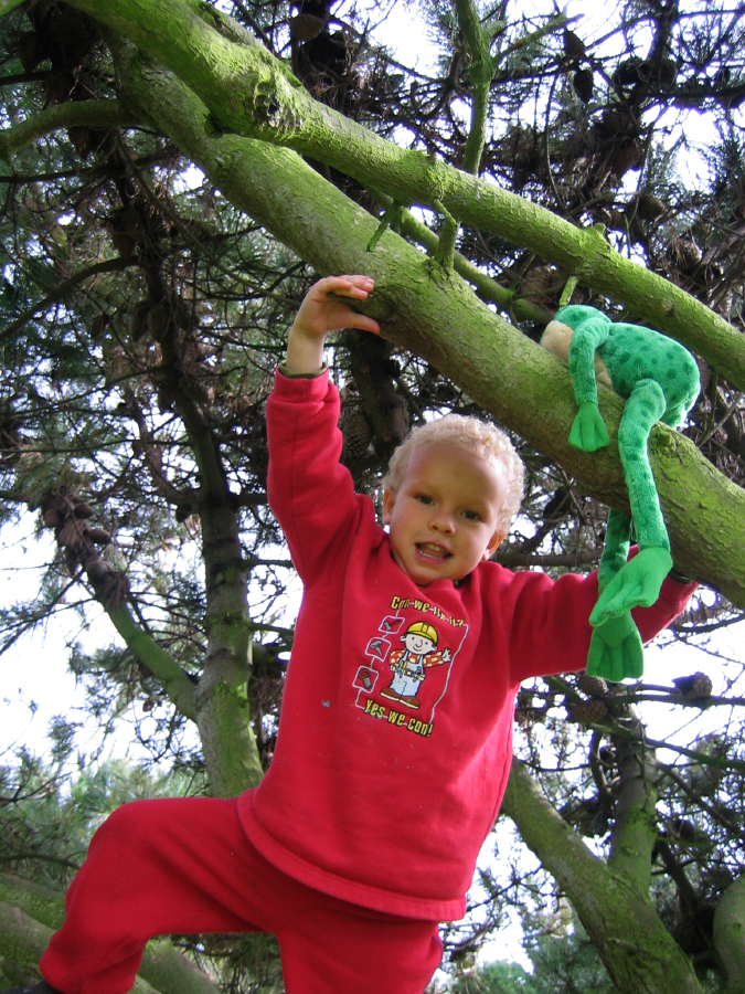 IMG_2546.jpg