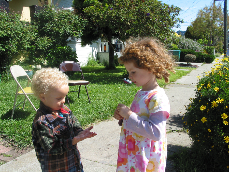 IMG_8000.jpg
