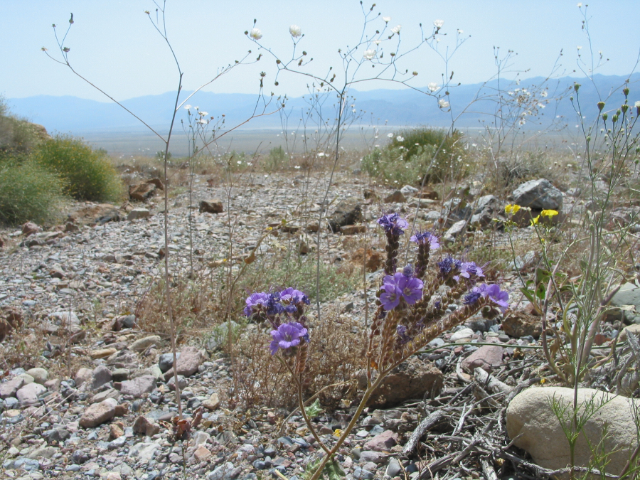 IMG_8097.jpg