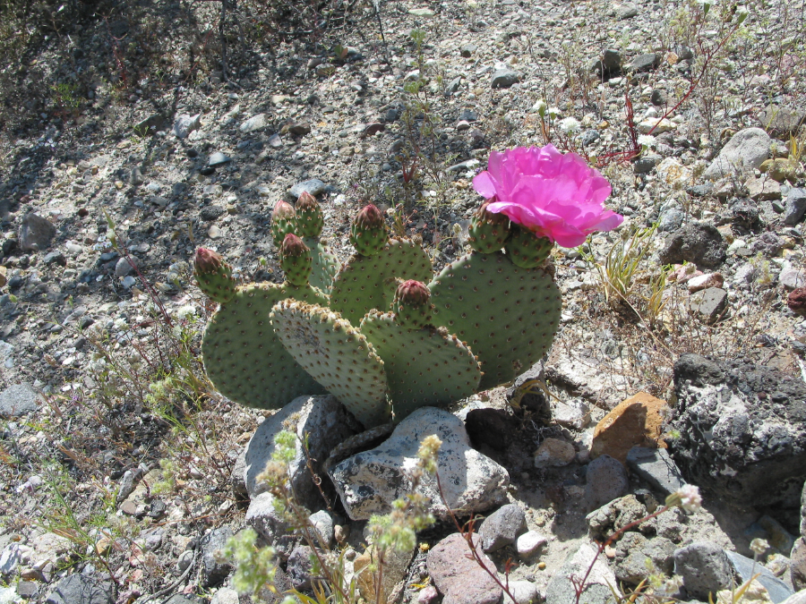 IMG_8125.jpg