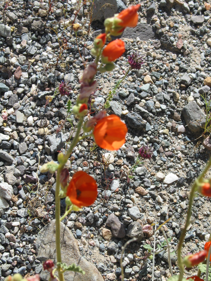 IMG_8141.jpg