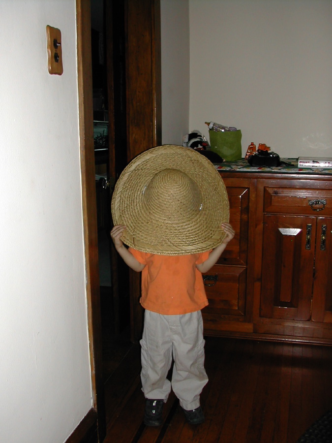 dscn0393.jpg