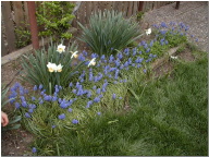 DSCN0469.JPG