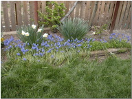 DSCN0470.JPG