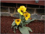 DSCN0472.JPG