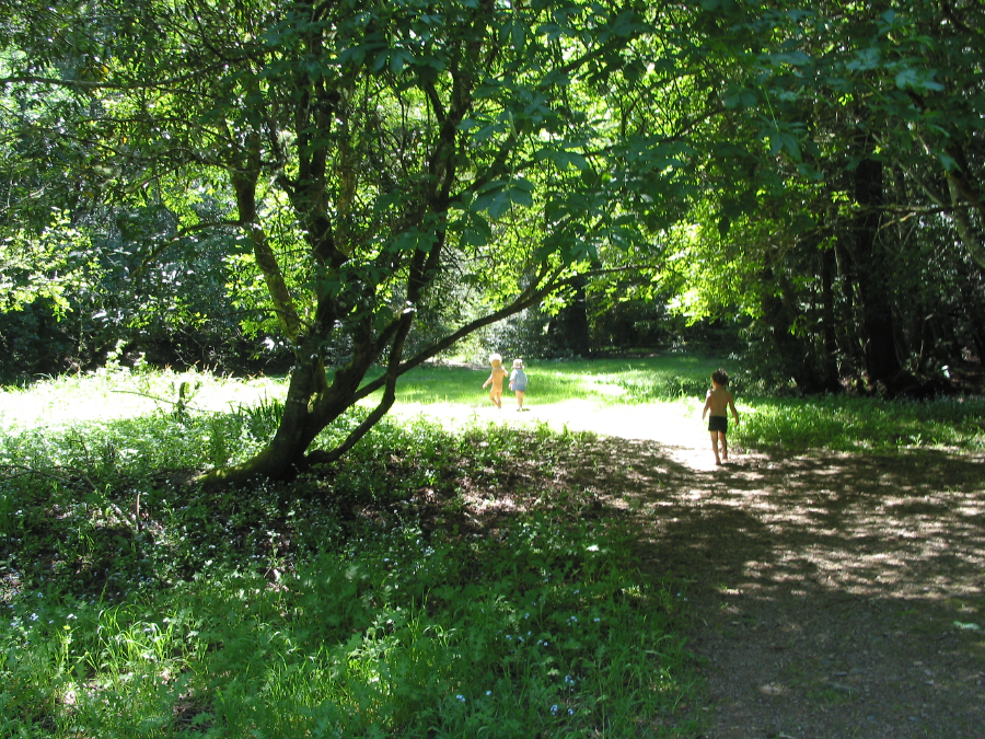 IMG_8179.jpg