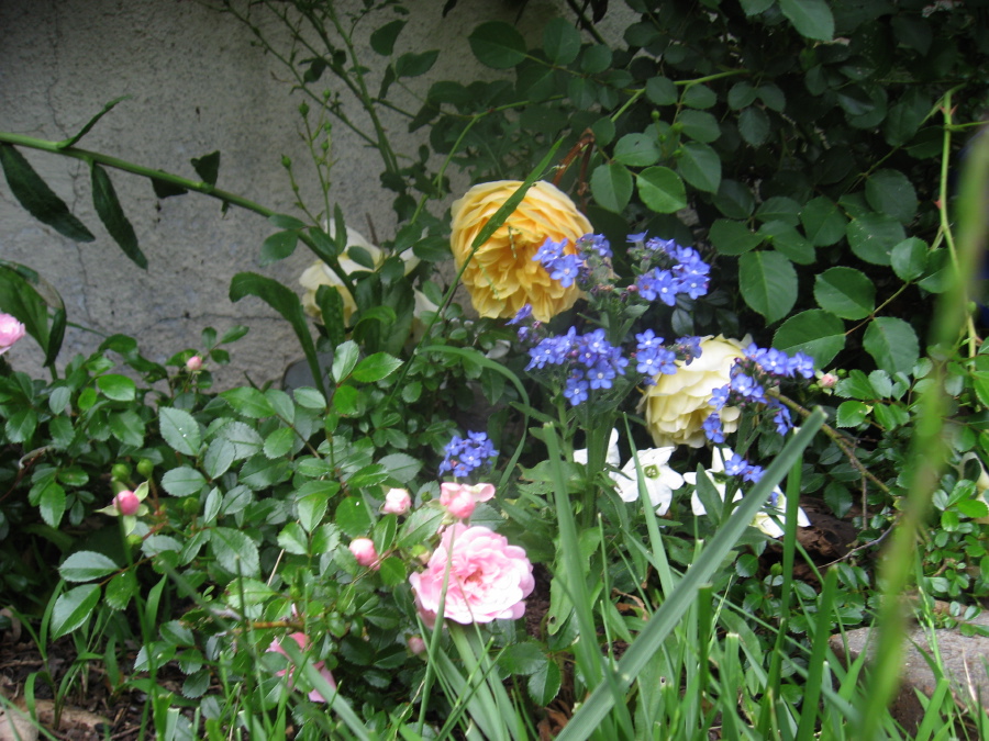 img_5035.jpg