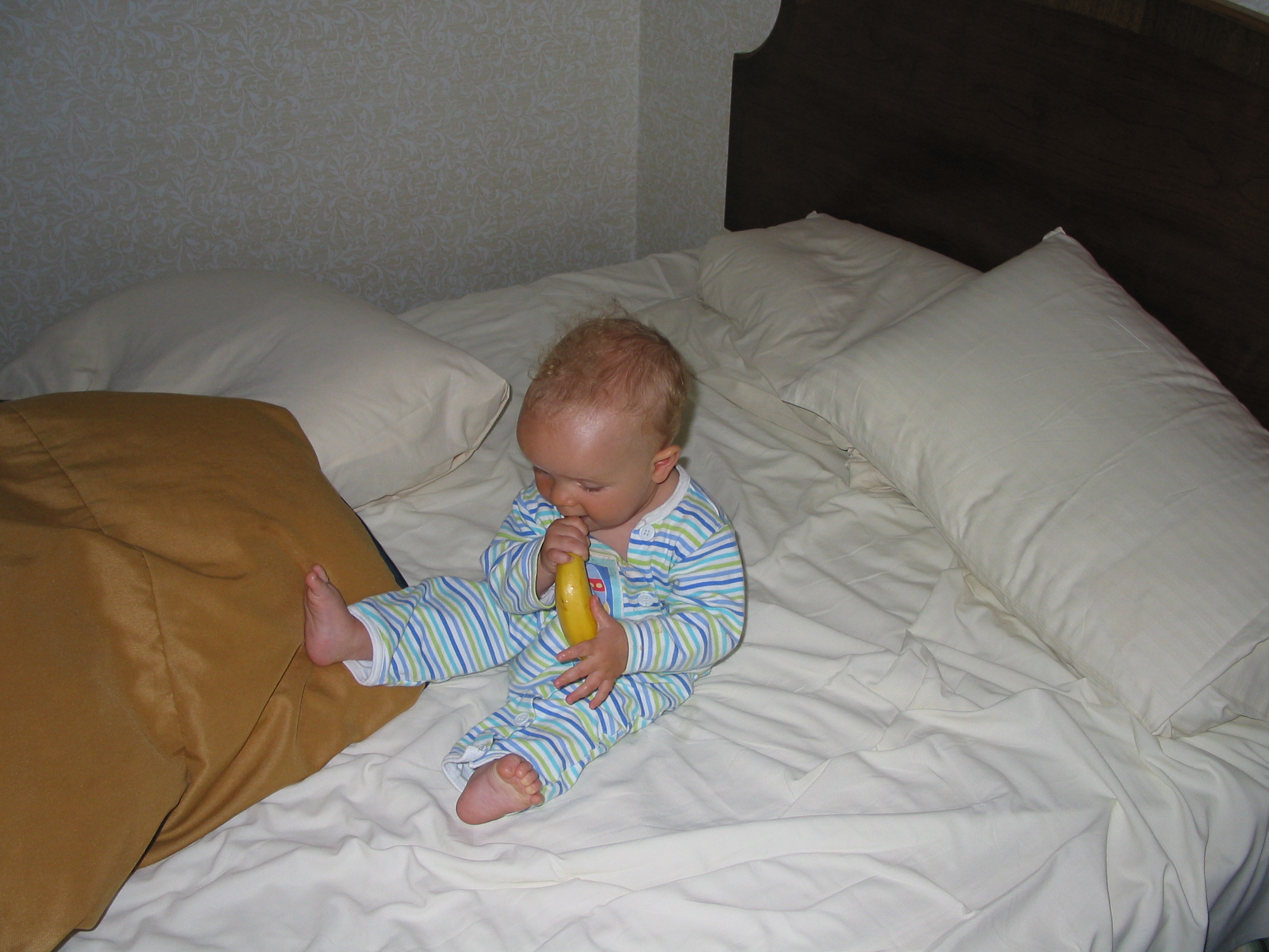 img_1257.jpg