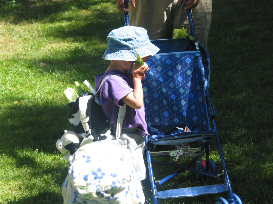 IMG_5165.jpg