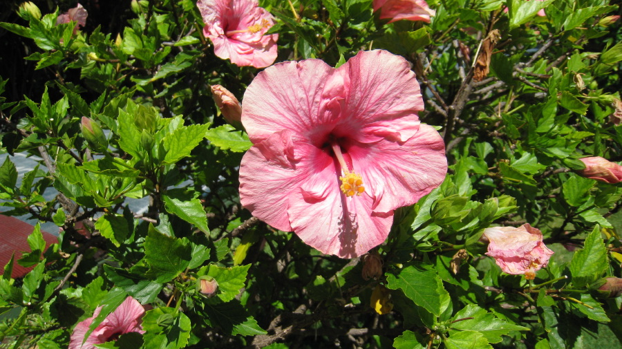 img_0665.jpg