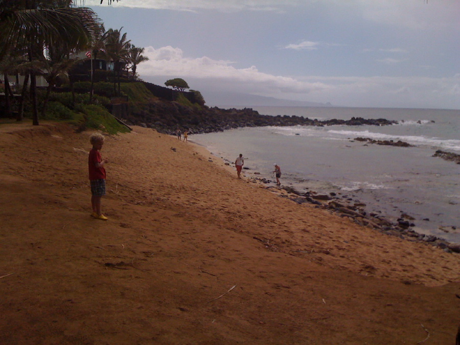 img_0559.jpg