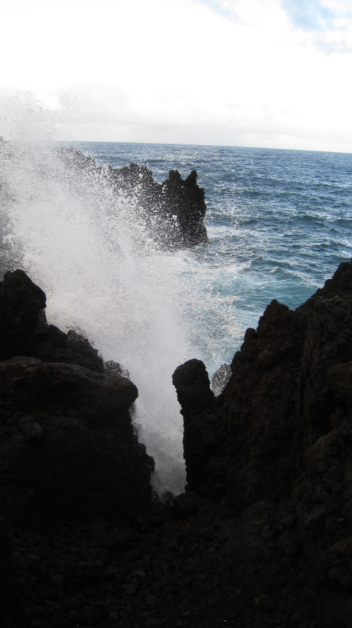 img_1251.jpg