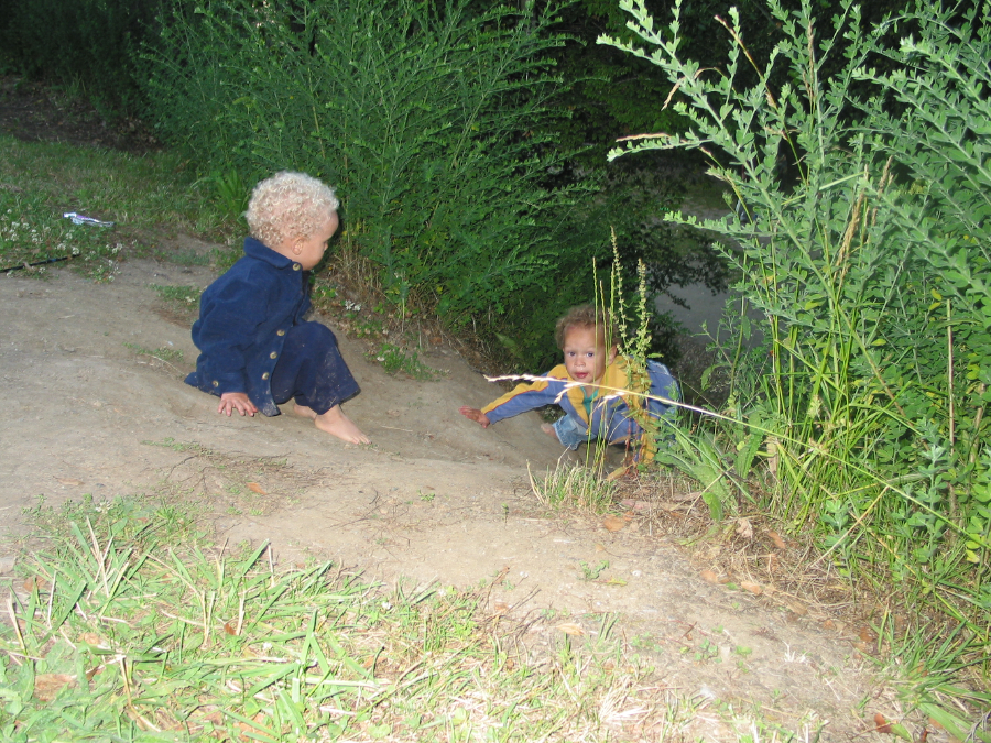 IMG_8505.jpg
