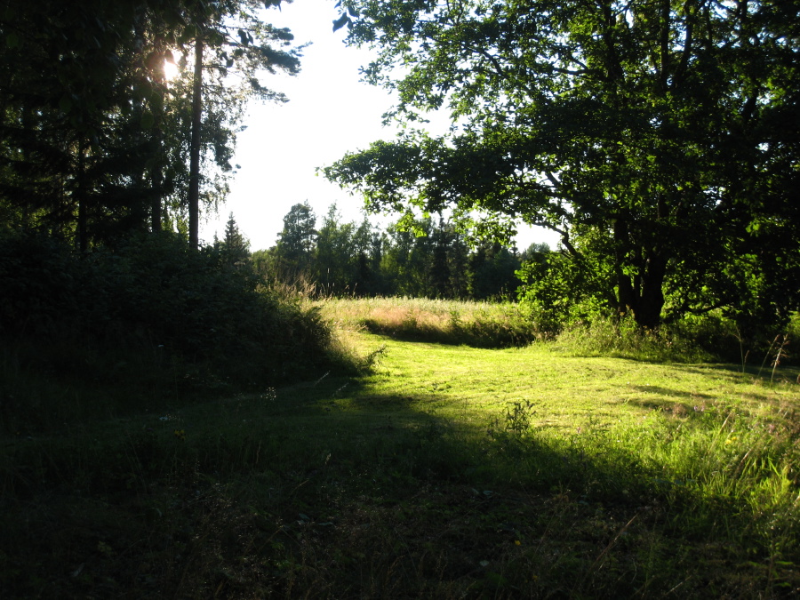 IMG_6064.jpg