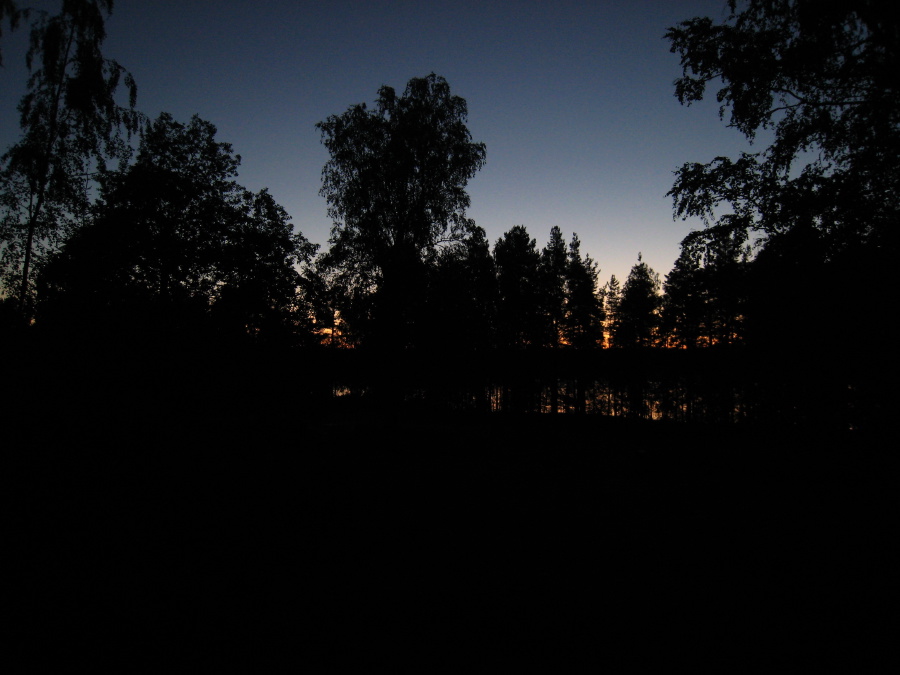IMG_6131.jpg