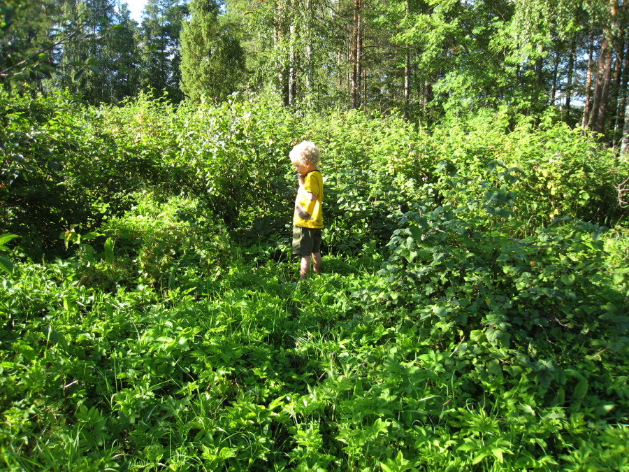 IMG_6187.jpg
