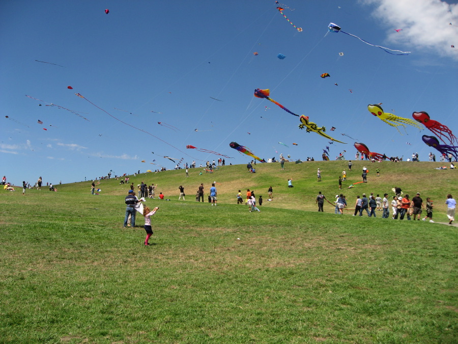 IMG_1465.jpg