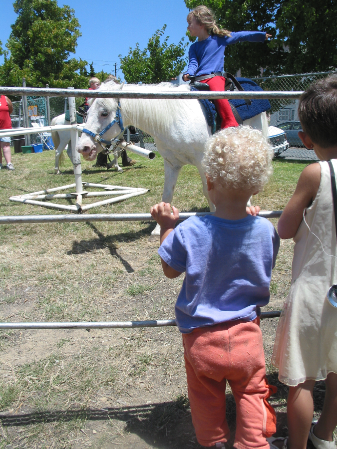 IMG_5334.jpg