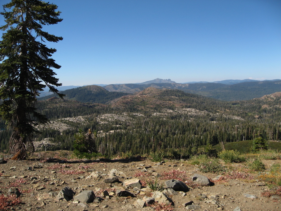 img_2228.jpg