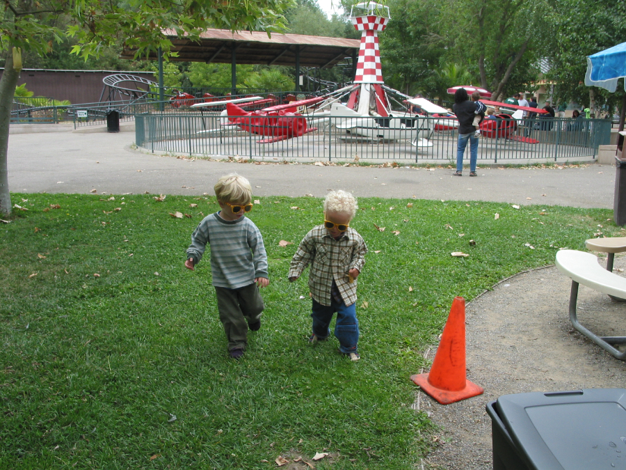IMG_8764.jpg