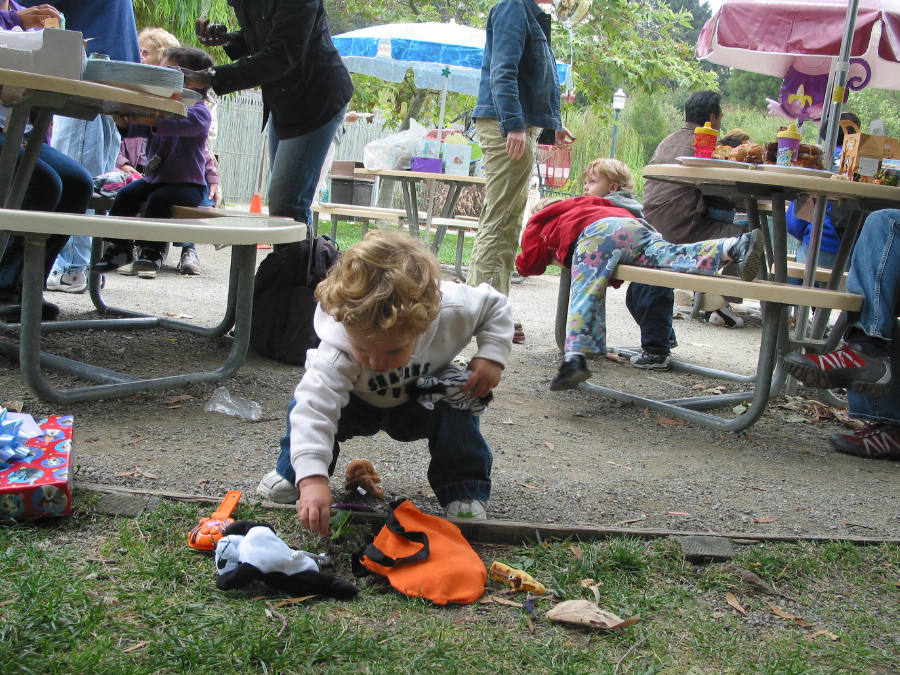 IMG_8770.jpg