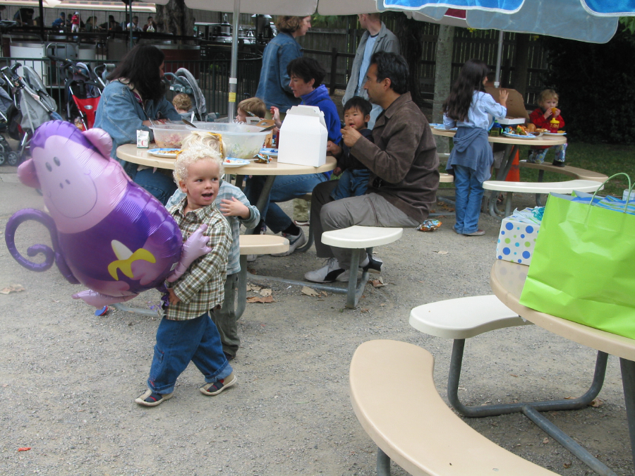 IMG_8774.jpg