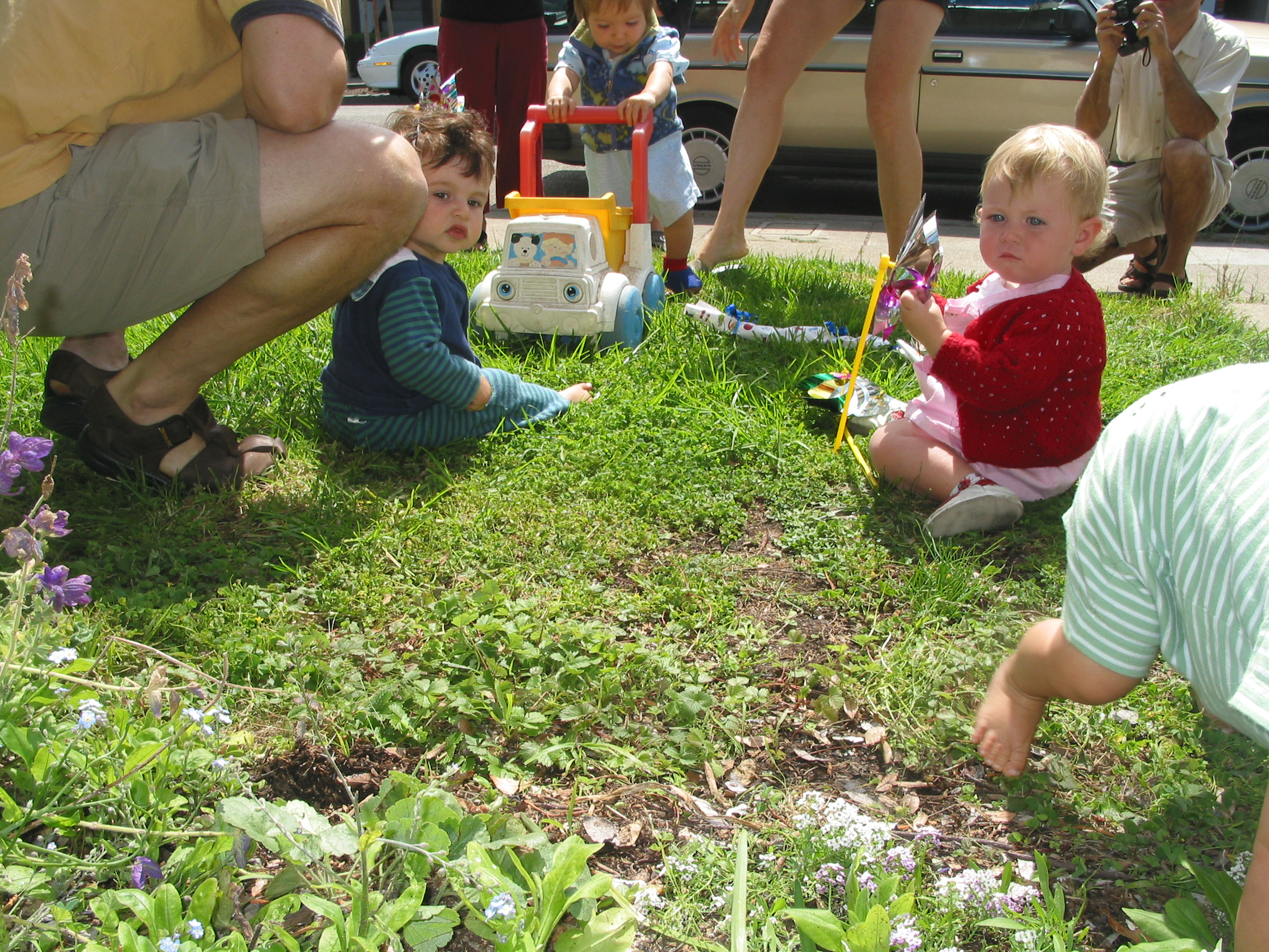 img_2598.jpg