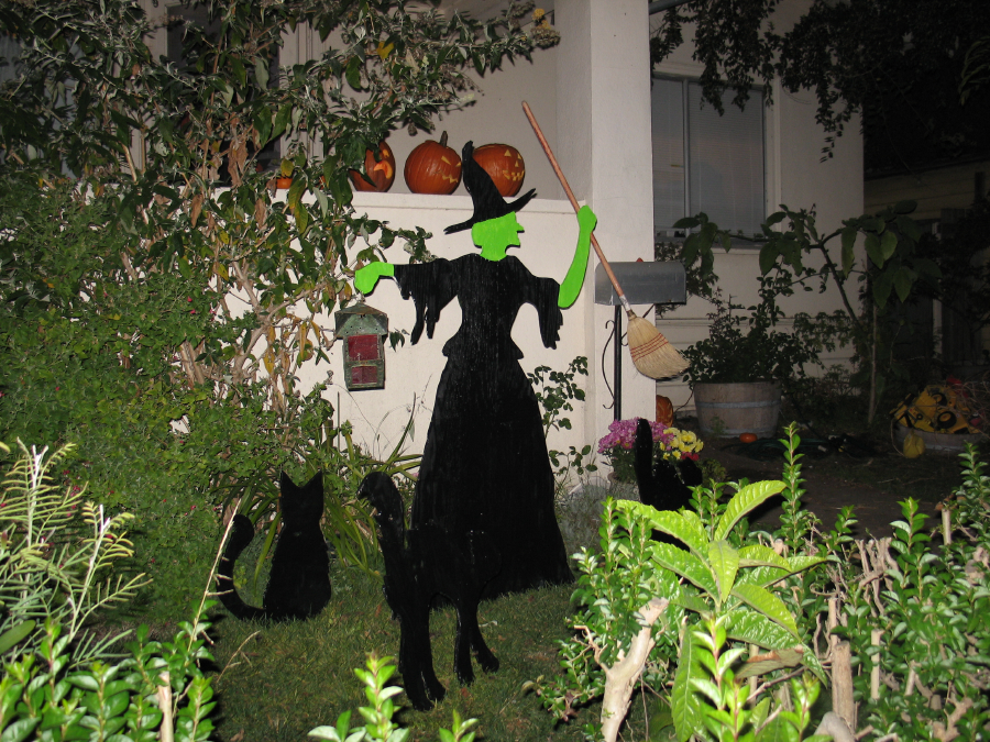 IMG_0484.jpg
