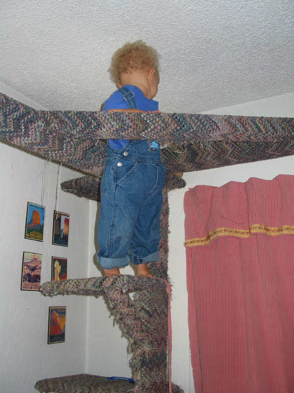 img_3109.jpg