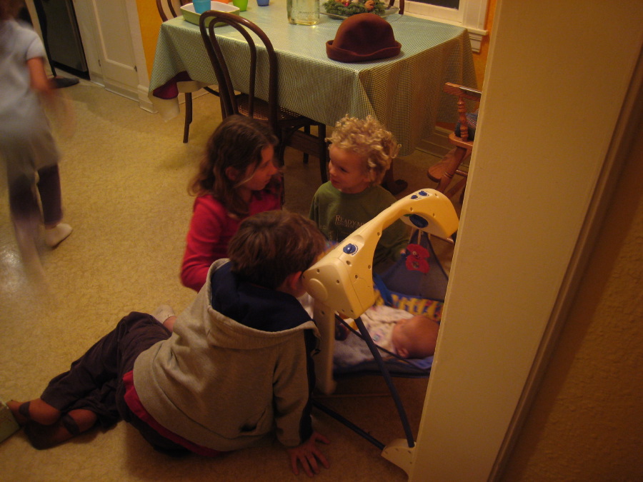 IMG_8221.jpg