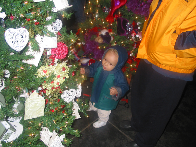 img_3573.jpg