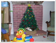 DSCN0132.JPG