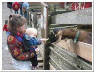 IMG_3572.JPG