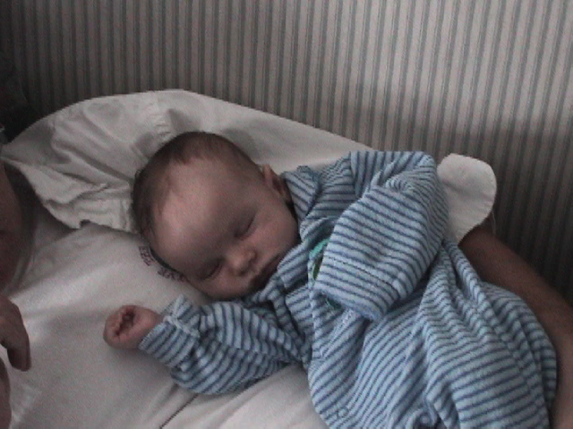 max6.jpg
